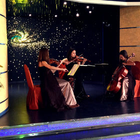  Violin Group DOLLS -  