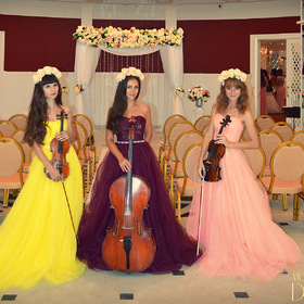    -   Violin Group DOLLS